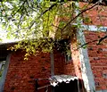 Снимка 4 — Къща в Пазарджик, с. Виноец