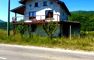 Къща в Перник, Трън