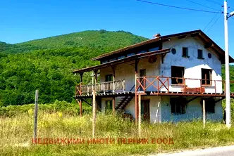 Къща в Перник, Трън