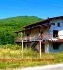 Къща в Перник, Трън
