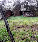 Къща в Перник, Трън