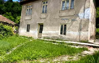 Къща в Перник, Трън