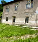 Къща в Перник, Трън