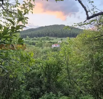 Photo 5 — House in Oblast Pernik, Babica