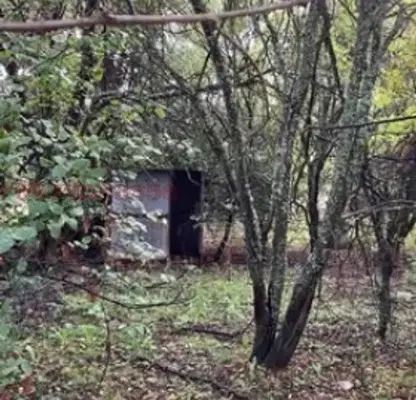 Снимка 3 — Къща в Перник, с. Долна Диканя