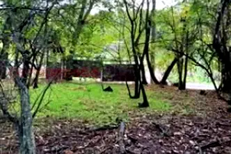 Къща в Перник, с. Долна Диканя