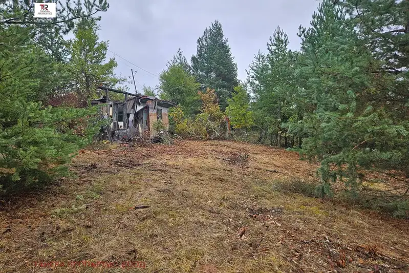 House in Oblast Pernik, Egylnica