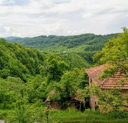 Снимка 4 — Къща в Перник, с. Ерул