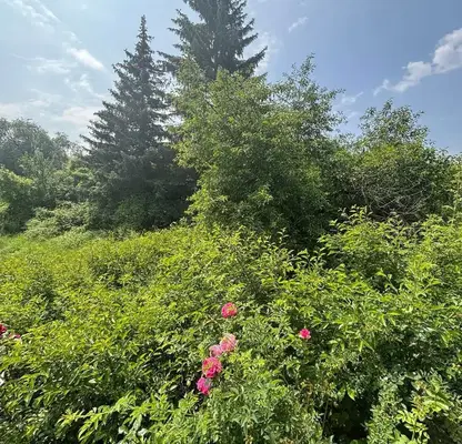 Снимка 2 — Къща в Перник, с. Касилаг
