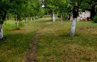 Къща в Перник, с. Николаево