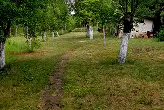 Къща в Перник, с. Николаево