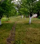 Къща в Перник, с. Николаево