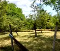 Снимка 3 — Къща в Перник, с. Николаево