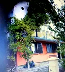 Къща в Перник, с. Зелени