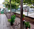 Снимка 3 — Къща в Плевен, Левски
