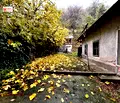 Снимка 3 — Къща в Плевен, Никопол