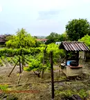 Къща в Плевен, Тръстеник