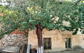 Къща в Плевен, с. Беглеж