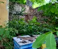 Снимка 5 — Къща в Плевен, с. Беглеж