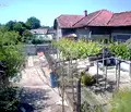 Снимка 5 — Къща в Плевен, с. Брест