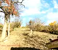 Снимка 5 — Къща в Плевен, с. Бръшляница