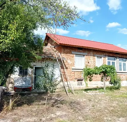 Photo 3 — House in Oblast Pleven, с. Евлогиево