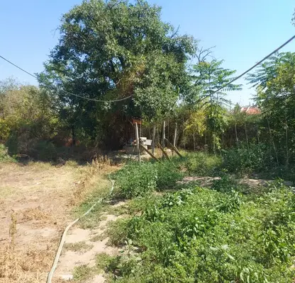 Photo 3 — House in Oblast Pleven, Obnova