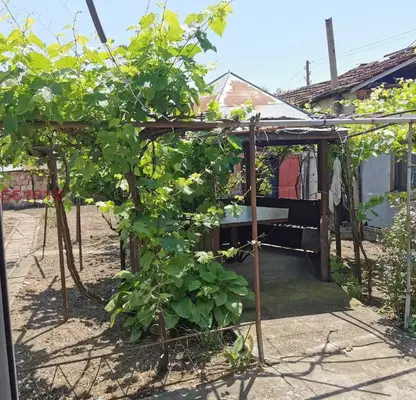 Photo 5 — House in Oblast Pleven, Obnova