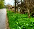 Снимка 2 — Къща в Плевен, с. Одърне