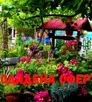 Къща в Плевен, с. Ореховица