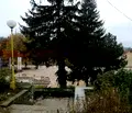 Снимка 2 — Къща в Плевен, с. Петърница