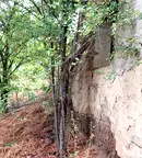 Къща в Плевен, с. Татари
