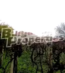 Къща в Плевен, с. Въбел