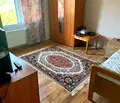 Снимка 4 — Къща в Плевен, с. Вълчитрън