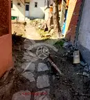 Къща в Пловдив, Асенов