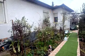 Къща в Пловдив, Перущица