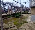 Снимка 4 — Къща в Пловдив, Садово