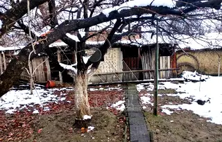 Къща в Пловдив, Стамболийски