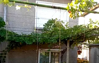 Къща в Пловдив, Стамболийски