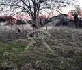Снимка 4 — Къща в Пловдив, с. Беловица