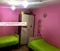 Снимка 4 — Къща в Пловдив, с. Брестовица