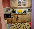 Снимка 3 — Къща в Пловдив, с. Брестовица