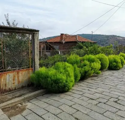 Photo 5 — House in Plovdiv, Brestovica
