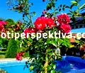 Снимка 3 — Къща в Пловдив, с. Церетелево