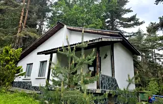 Къща в Пловдив, с. Дедево