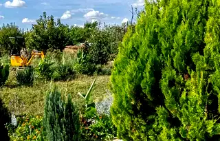 Къща в Пловдив, с. Малък чардак
