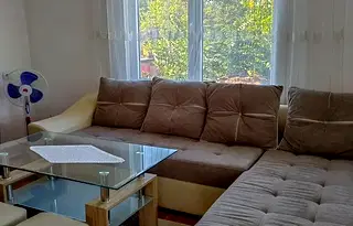 Къща в Пловдив, с. Неделево