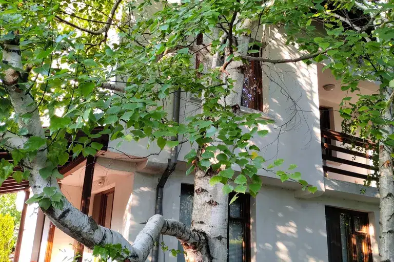 Къща в Пловдив, с. Нови извор