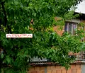 Снимка 4 — Къща в Пловдив, с. Първенец