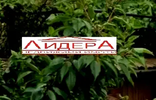 Къща в Пловдив, с. Първенец